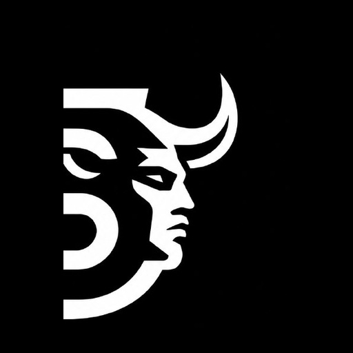 Paid Bull head detail
